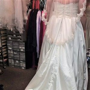 Wedding dress and veil